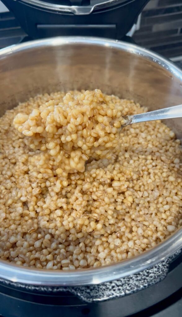 Snayniyeh Cooked Wheat Kernels