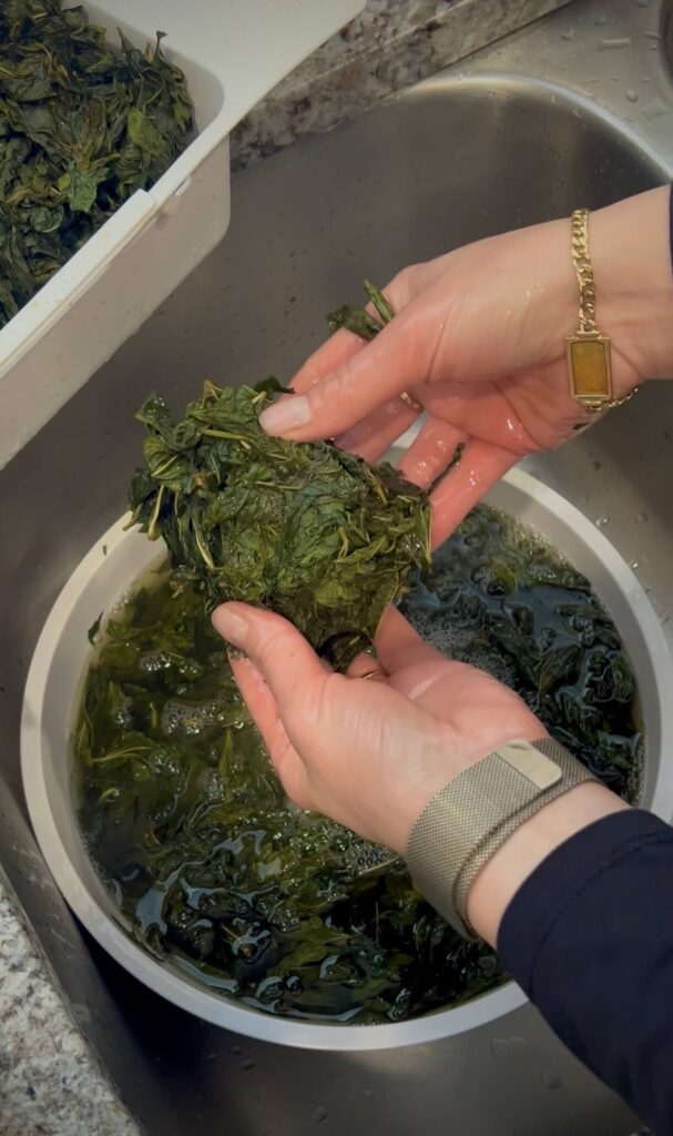Washing molokhia leaves