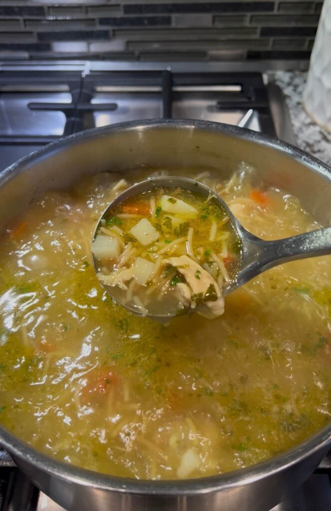Chicken vegetable soup 